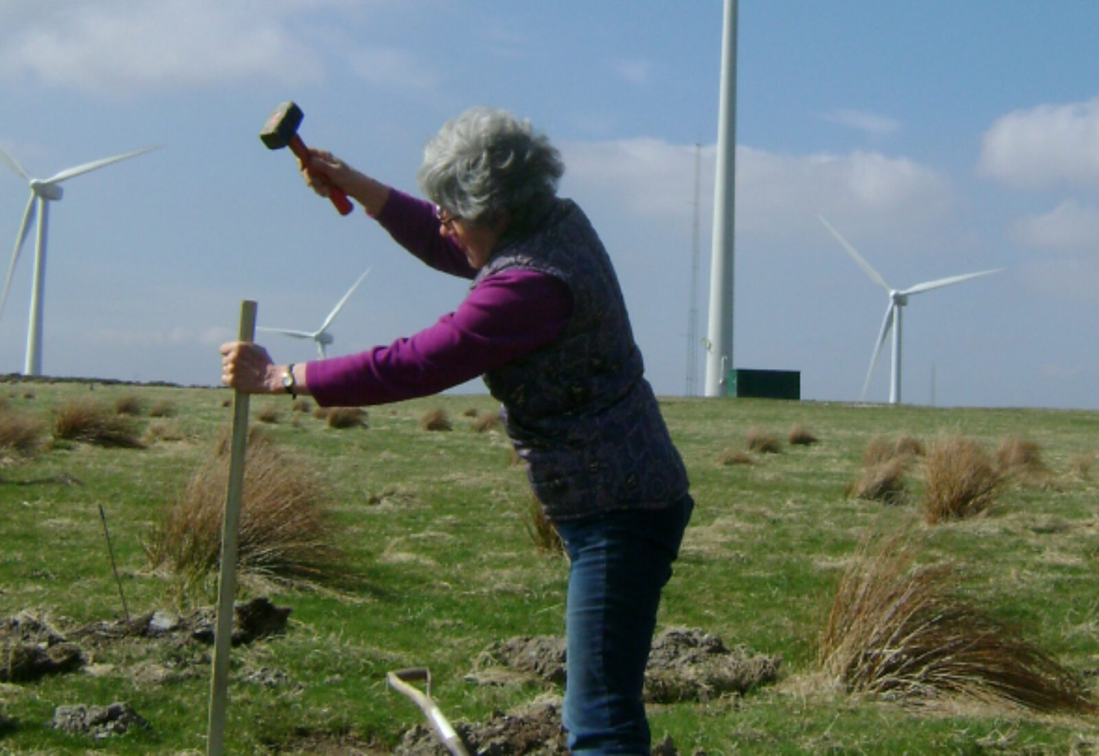 Working on the land beside the community wind turbines