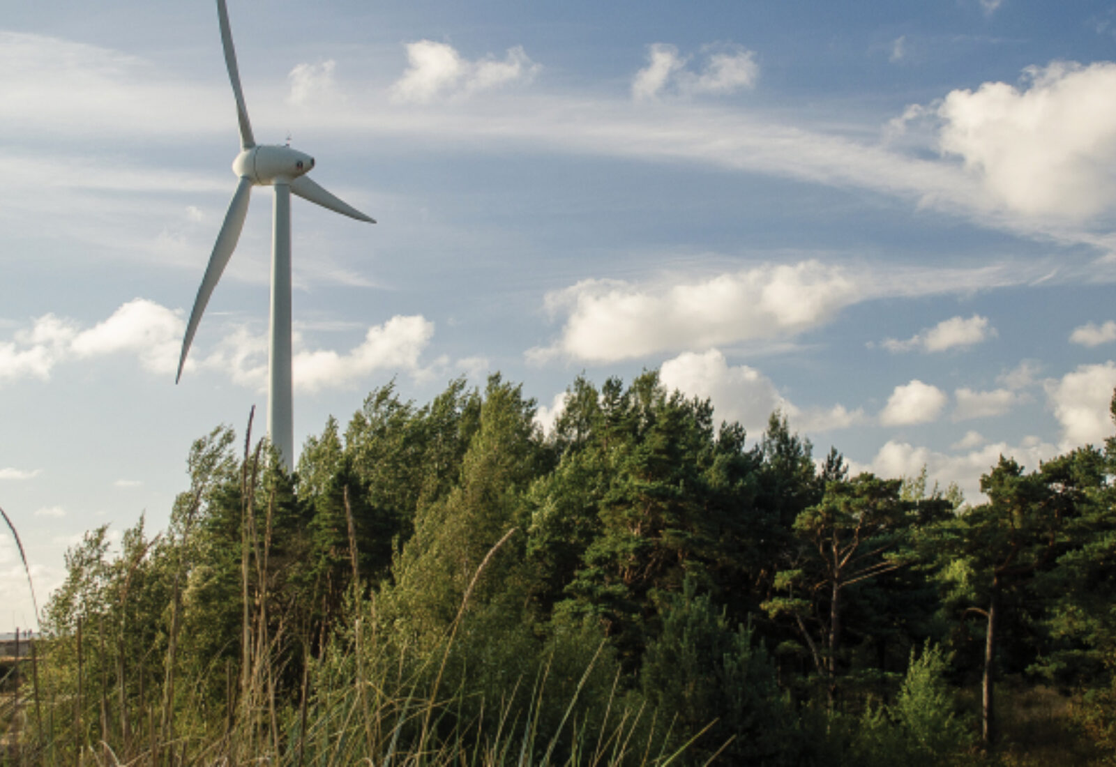 Wind turbine beside woodland at Greenmyres