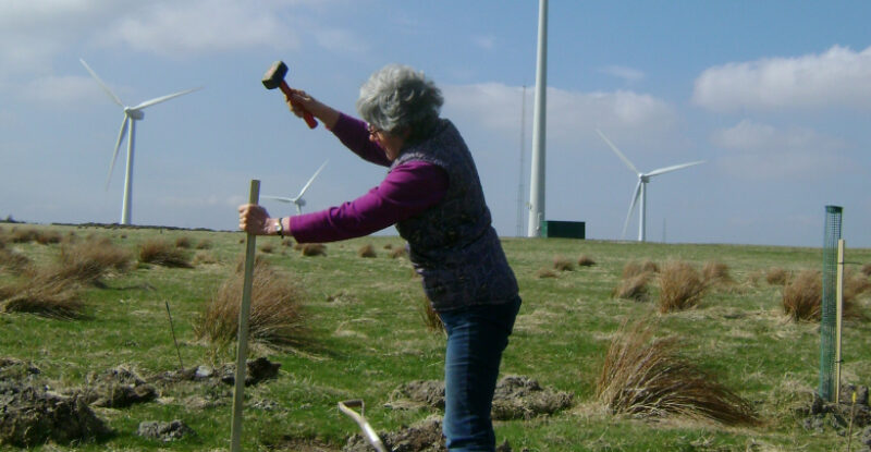 Working on the land beside the community wind turbines