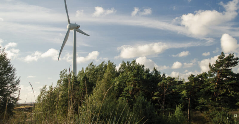Wind turbine beside woodland at Greenmyres