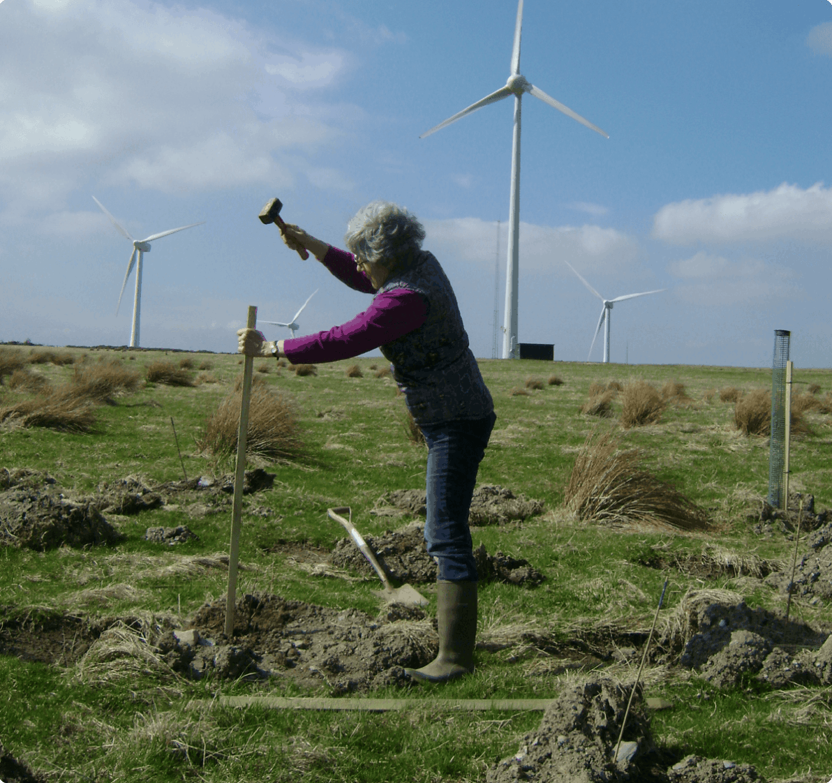 Woman hammering a tree support in front of windmills.