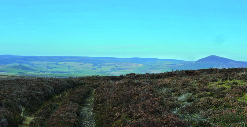 Coreen Coffin Road & Lord Arthur’s Hill Loop