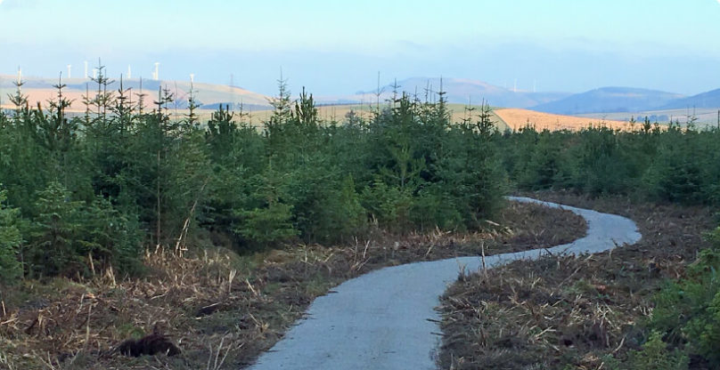 Gartly Moor