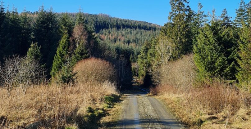 Bin Forest from Huntly